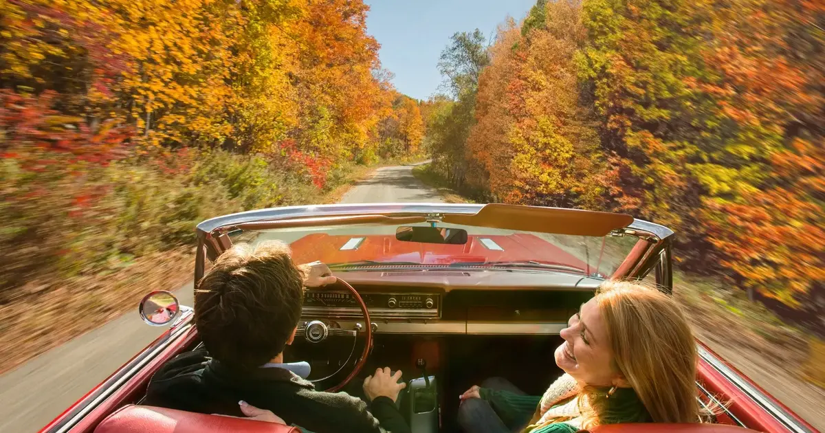 WDT_Fall2016Colors-