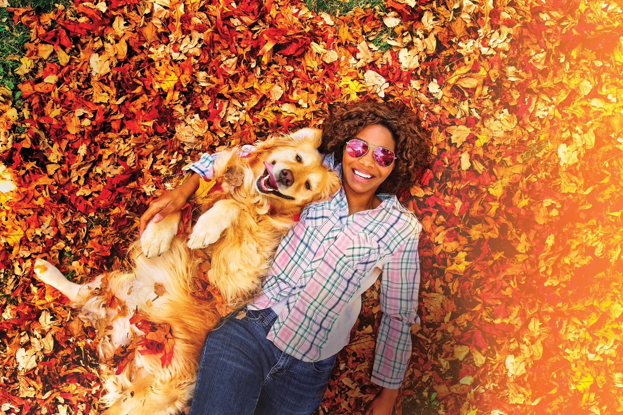 Dog Friendly Door County Hotels & Activities | Travel Wisconsin