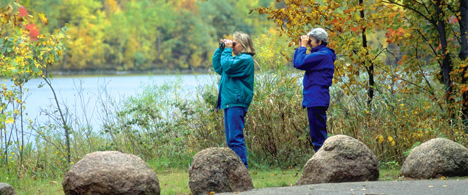 Birding
