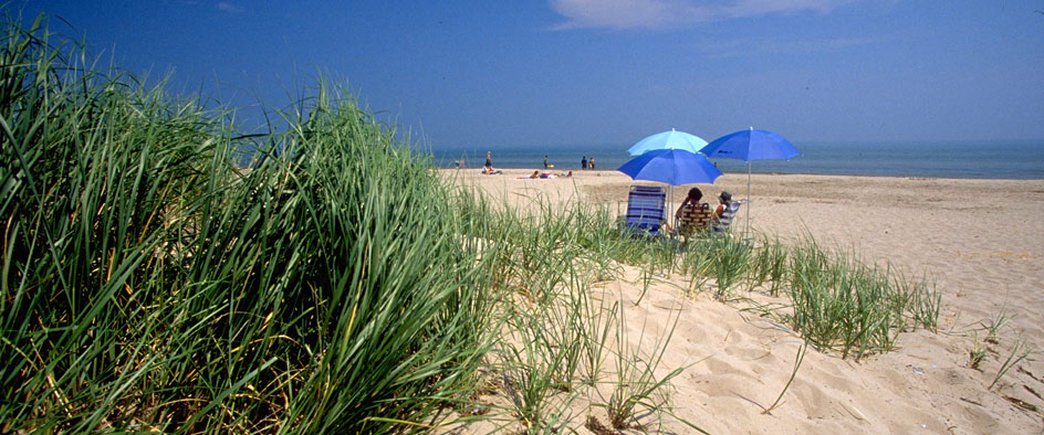 Kohler-Andrae Shoreline