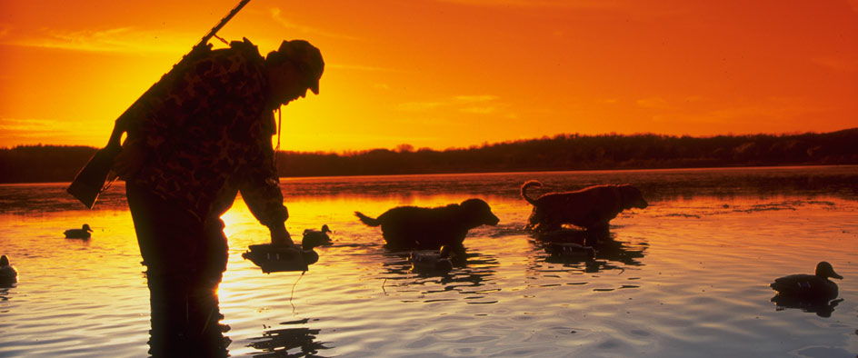 Duck Hunting