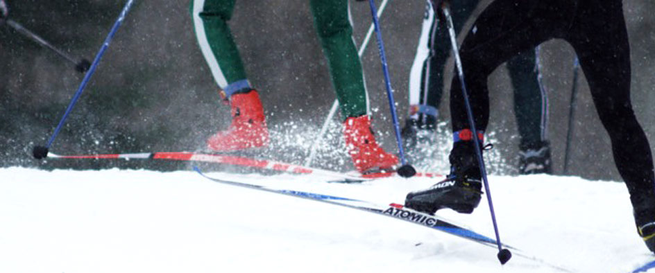 Cross Country Skis