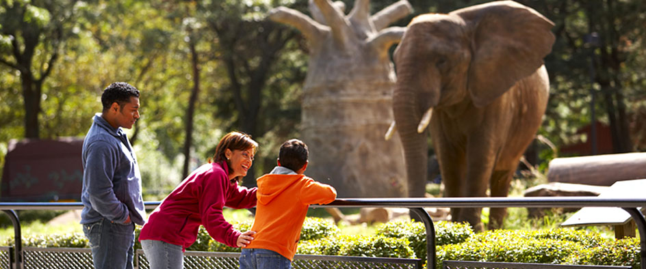Zoo