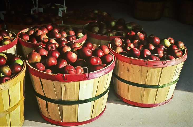 Bayfield Apple Festival