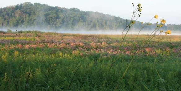 Tour Wisconsin's John Muir Nature and History Route