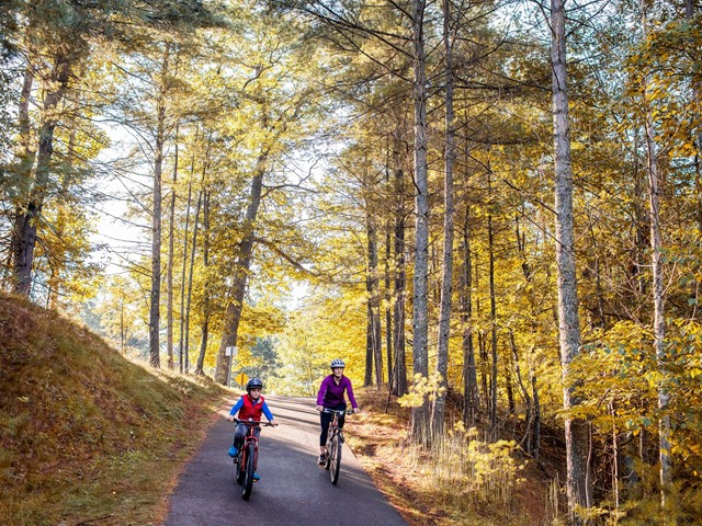 Explore Wisconsin’s Northwoods on These Impressive Trails