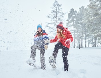 Great Places to Snowshoe in Wisconsin