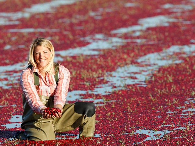 Four Must-Stops Along the Wisconsin Cranberry Trail