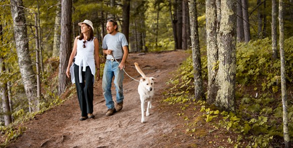 5 Fall Hikes Perfect for Your Pup