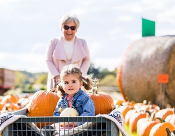 Got Pumpkin? Wisconsin Patches, Treats and Festivals for Fall