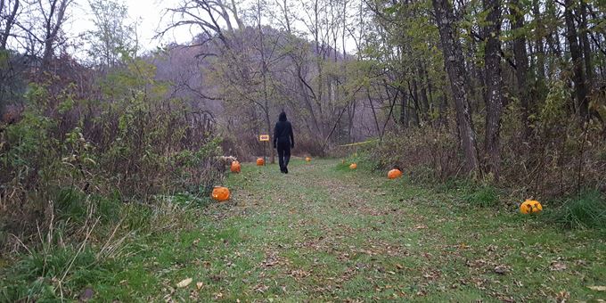 Our scenic woods make for excellent trails to hike on, spooky creatures or not!