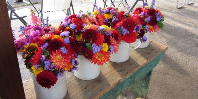 Beautiful flowers for sale at Farmers Market