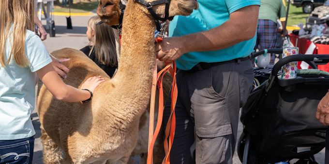 Head to the fun zone to check out the petting zoo, or visit with the alpacas