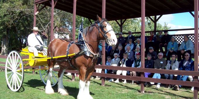 Larson&#39;s Famous Clydesdales