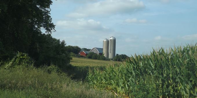 Farm Scene in Dodge County