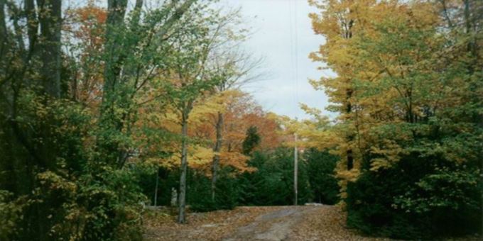 Breathtaking fall colors provided by the abundance of maple, oak, birch, and sumac trees along colorful trails and country roads.