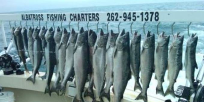 Huge Chinook King Salmon and a Limit catch all in one trip! Wow..