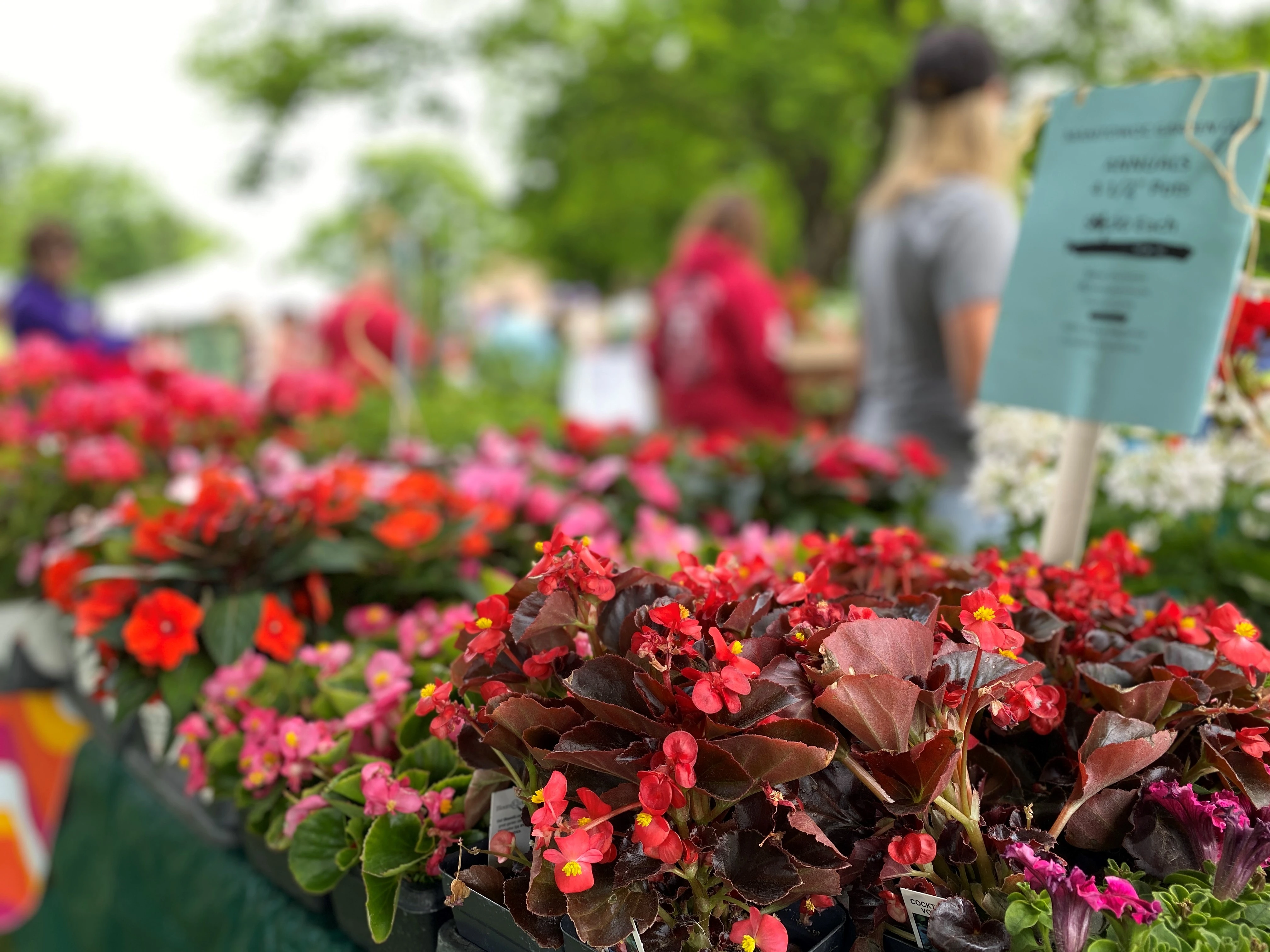 Garden Faire Extraordinaire | Travel Wisconsin