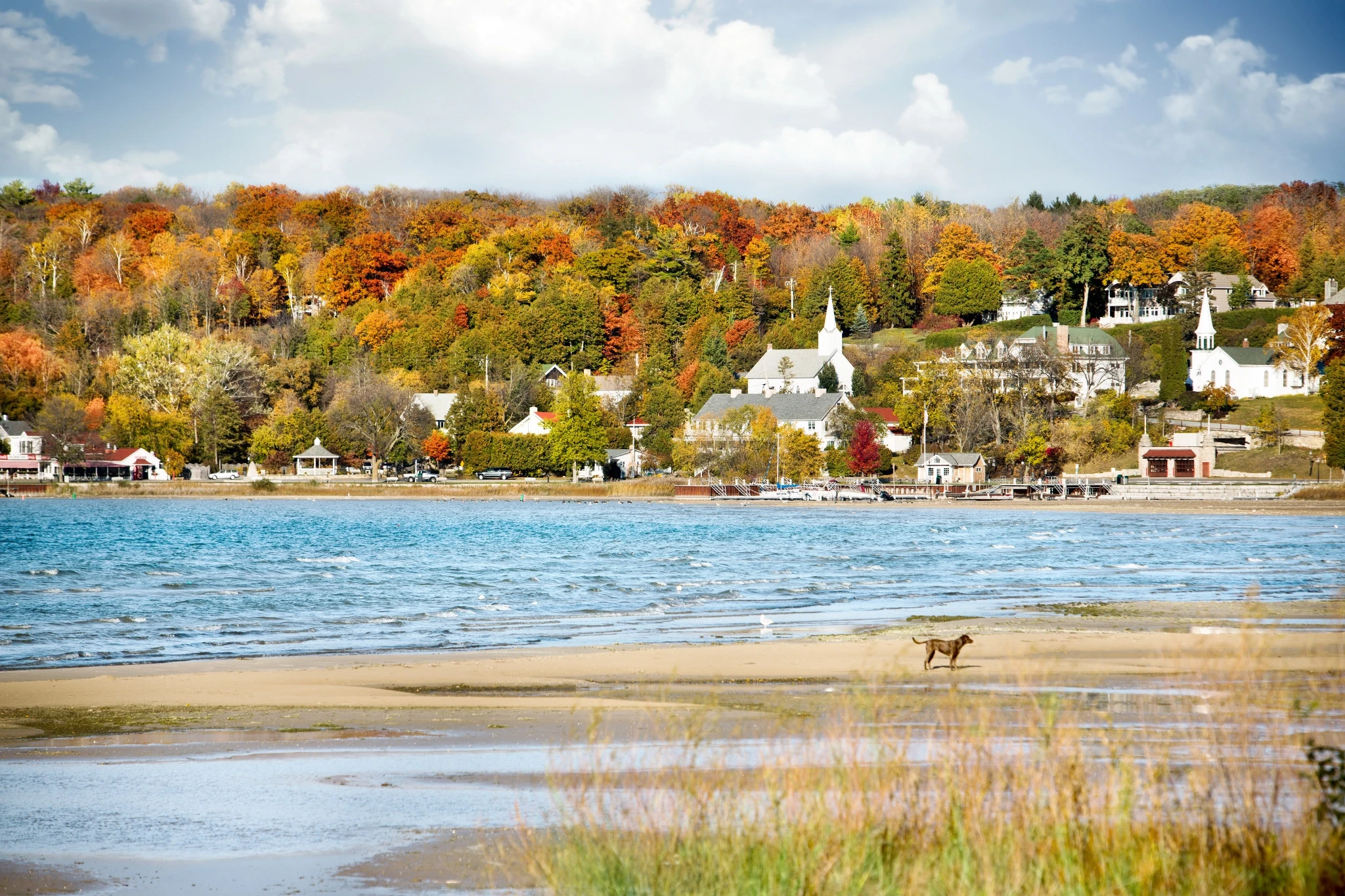 Scenic Harbor Shot in Door County Scenic Harbor Shot in Door County