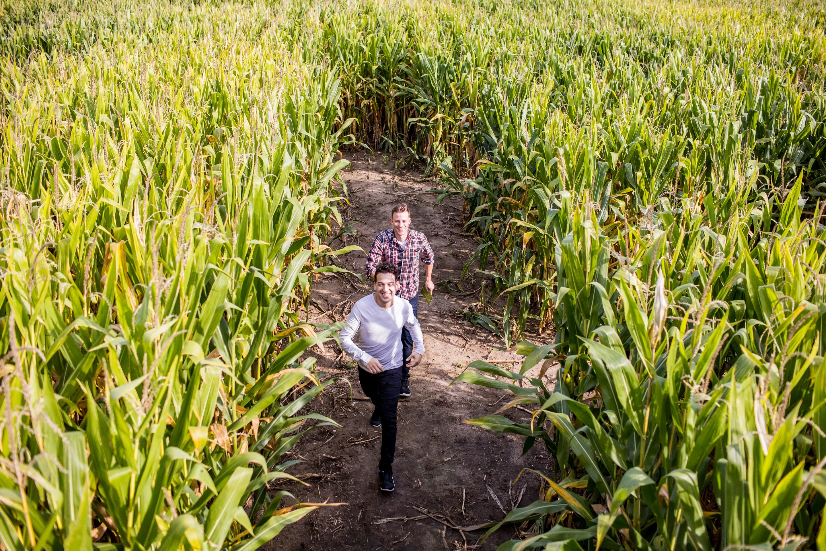 005 Friends Navigate The Corn Maze At Skelly's Farm Market In Janesville 005 Friends Navigate The Corn Maze At Skelly's Farm Market In Janesville