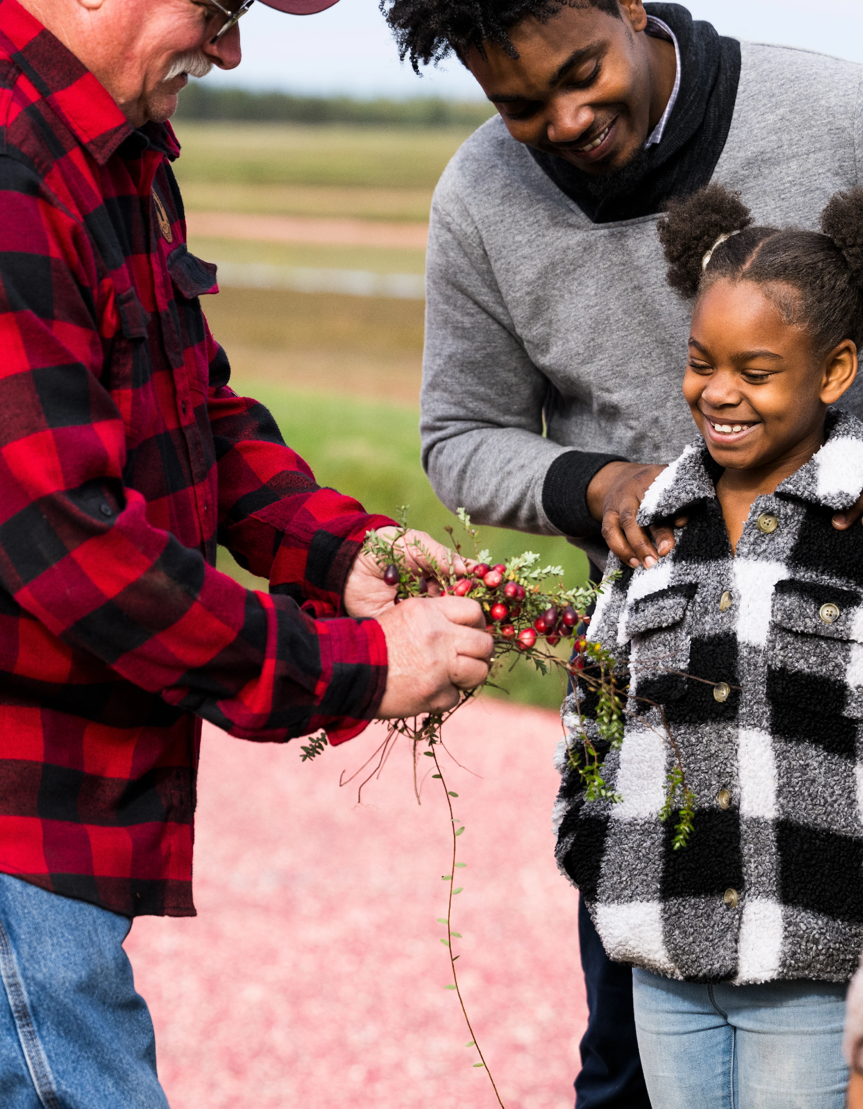 man-gives-girl-cranberries-in-cranberry-marsh