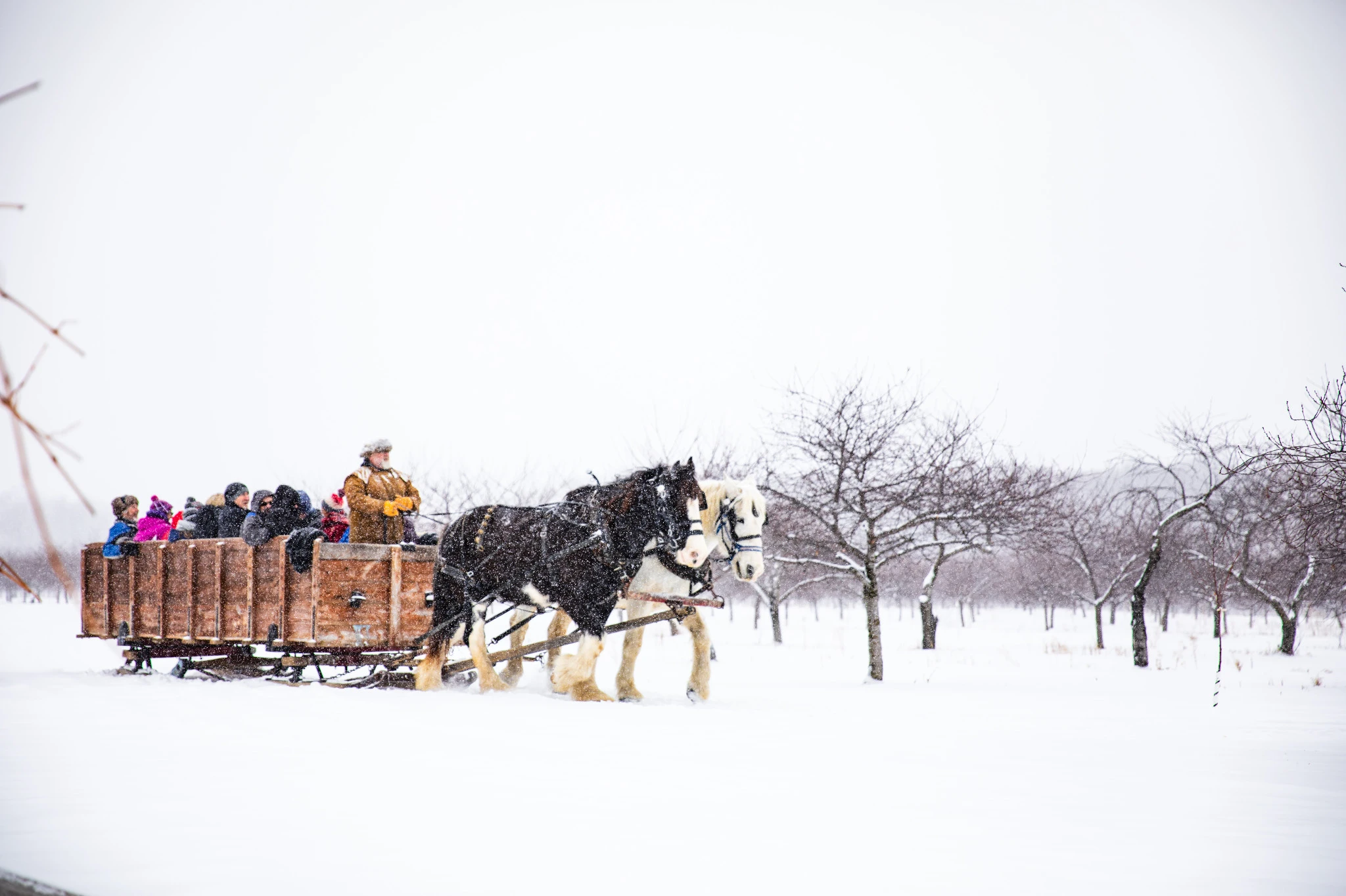 Sleigh Ride at Fish Creek Winter Festival 07.jpg