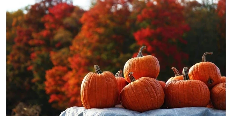 PumpkinFest | Travel Wisconsin PumpkinFest | Travel Wisconsin