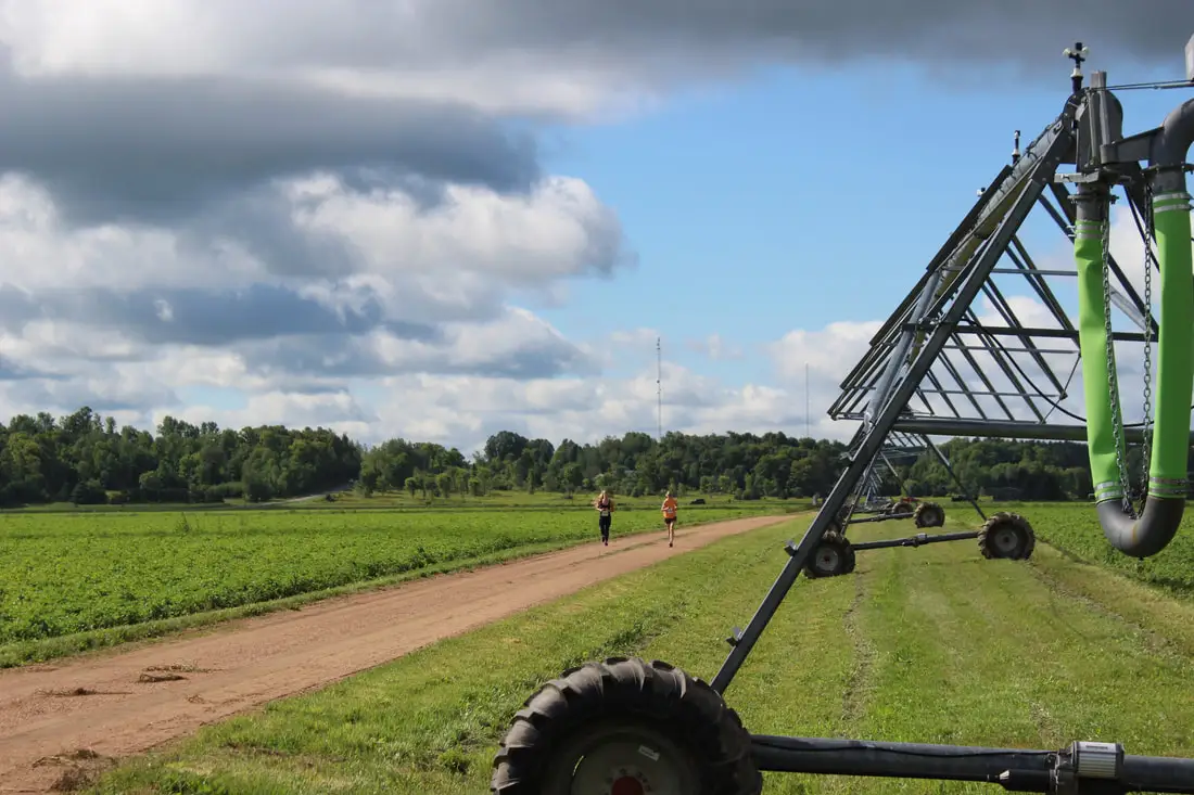 46th Annual Antigo Tater Trot