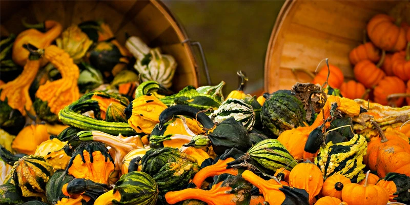dresser wi fall festival TROLLHAUGEN - Updated July 2026 - 31 Photos & 38 Reviews - 2232 100th Ave, Dresser, Wisconsin - Ski Resorts - Phone Number