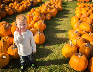 Got Pumpkin? Wisconsin Patches, Treats and Festivals for Fall