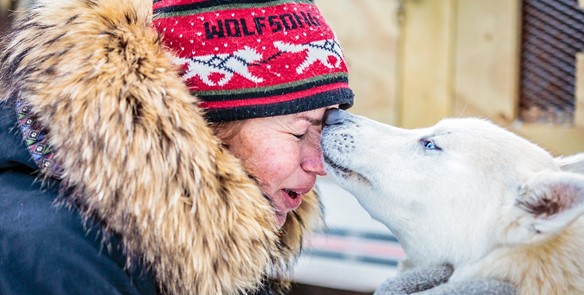 Skijoring in Wisconsin: Dog-Friendly Winter Adventures