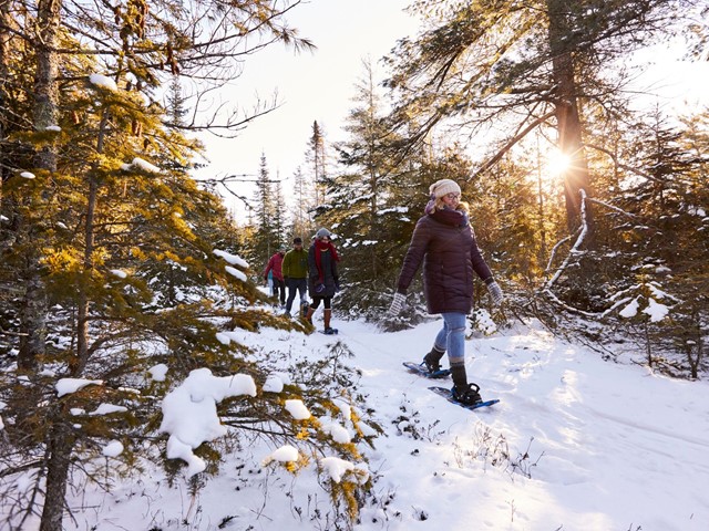 11 Ice Age Trail Hikes to Explore This Winter