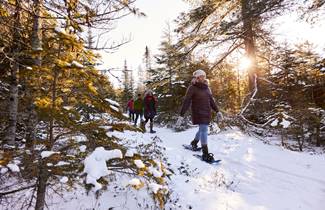 2123268f-3f5b-4446-a02e-8d5d52a4ccb8-group-snowshoeing-at-the-ridges-08.