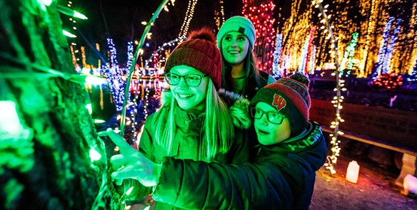 Holiday Lights: Spectacular Shows in Wisconsin