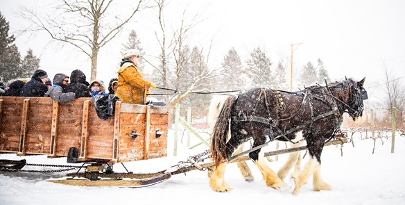 6 Wisconsin Spots for Horse-Drawn Sleigh Rides