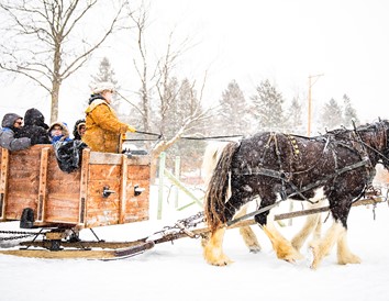 6 Wisconsin Spots for Horse-Drawn Sleigh Rides