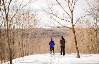 71ac2e87-f98a-4847-a0f7-2b4d2e32d361-328-family-looking-at-view-and-hiking-at-quartz-hill-in-wabeno.