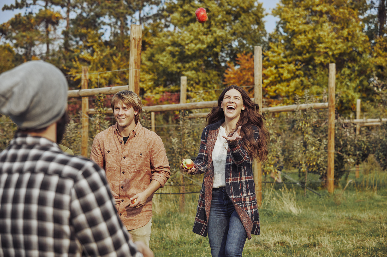 4 Apple Orchards Near Chicago Travel Wisconsin