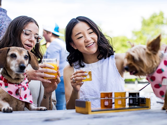 6 Wisconsin Spots For Dog-Friendly Dining & Drinking