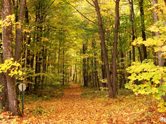 6 Top Trails in the Chequamegon-Nicolet National Forest