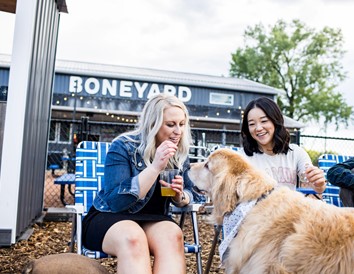7 Dog-Friendly Breweries in Southeastern Wisconsin