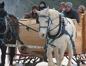 Six Wisconsin Spots for Horse-Drawn Sleigh Rides