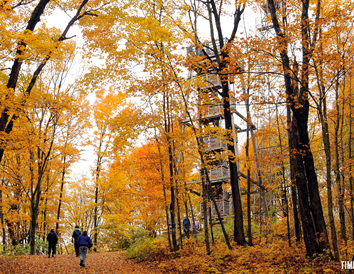 Know Before You Go: Fall Color in Wisconsin