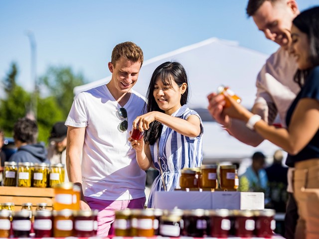Wisconsin’s Amish Communities: Experience, Shop and Learn