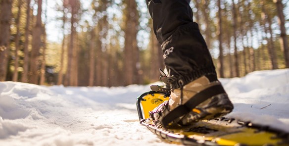 Great Places to Snowshoe in Wisconsin