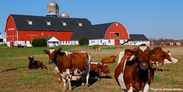 Farm Stay Vacations in Wisconsin