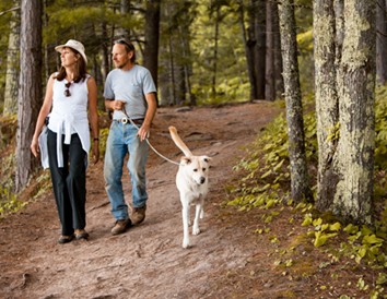 5 Fall Hikes Perfect for Your Pup