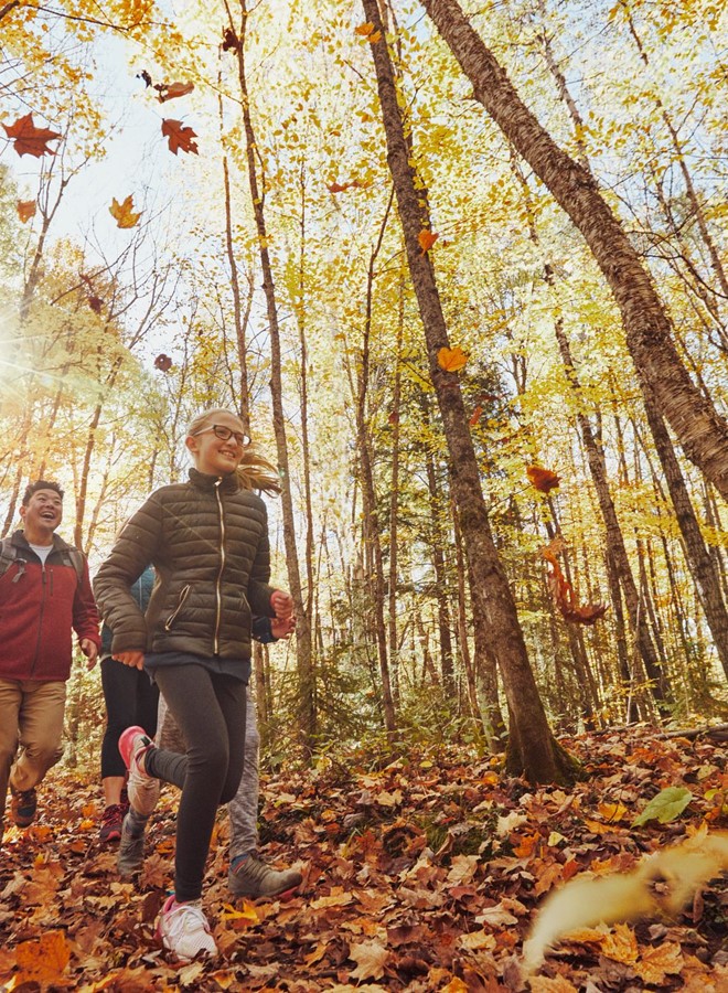 Wisconsin Fall Color Guide | Travel Wisconsin