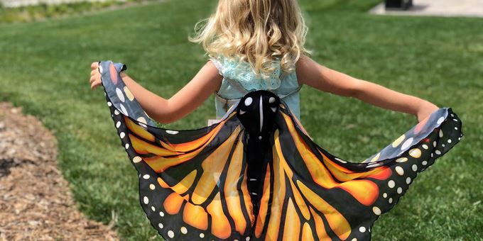 Butterfly wings!