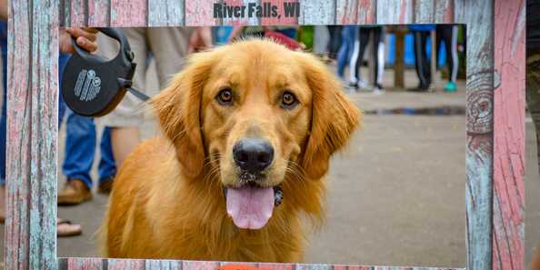 Your furry friends are also welcome at River Falls Bacon Bash!